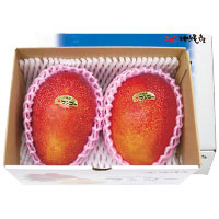 沖縄産アップルマンゴー（大玉）