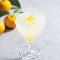のむ酢（檸檬・柚子・生姜）飲み比べセット　３種
