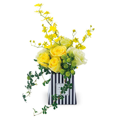 ���̓��E�X�^���h�u�[�P