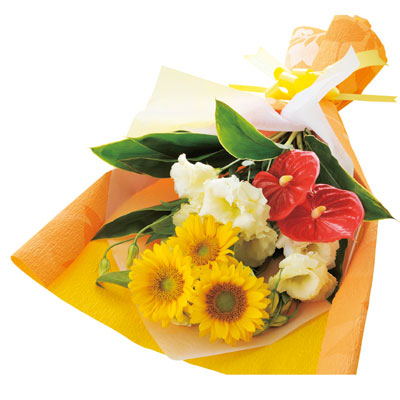 ���̓��E�Ђ܂��̉ԑ�