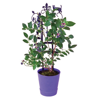 ���̓��E�u���[�x���[�@�t�F���X�d����