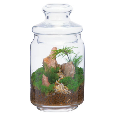 ���̓��E�R�P���E���L�b�g