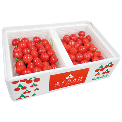�k�C���̂������ځu�g�G��v�@�W�O�O��