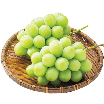 �����Y�V���C���}�X�J�b�g