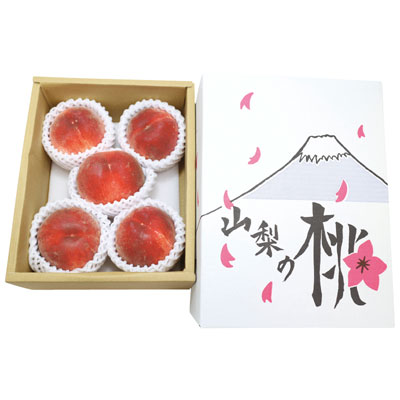 �w���������t�@�[���R���̓��x