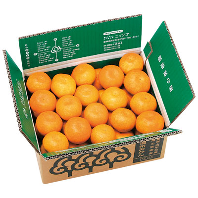 愛媛県産西宇和温州みかん 10kg