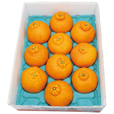 鹿児島県産・大将季(だいまさき) 3kg