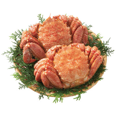 『北海道産毛がに 2尾800g』