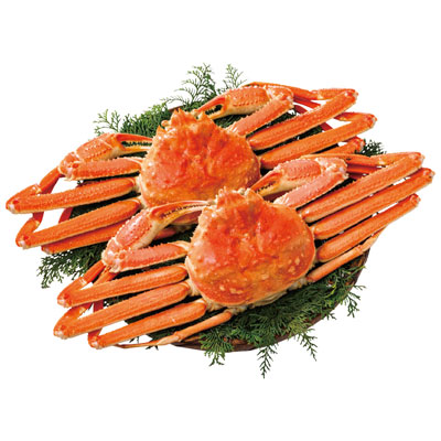 『北海道産おおずわいがに姿 620g×2』