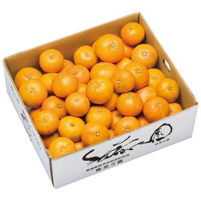『愛媛県産無茶々園の温州みかん 5kg』