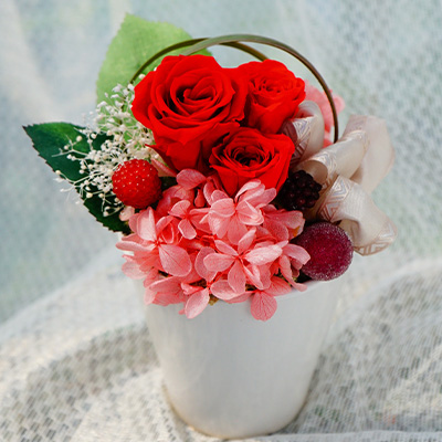 �w�v���U�[�u�h�t�����[�A�����W�E�v���C�����[�Y�x