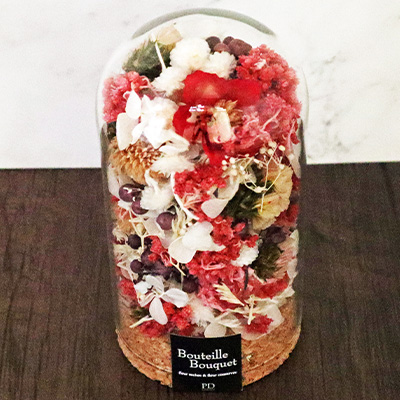 �w�v���U���h���C�t�����[�E�R���N�K���X�h�[���x