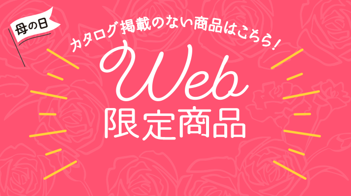 ��̓� Web���菤�i