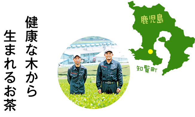 NȖ؂琶܂邨