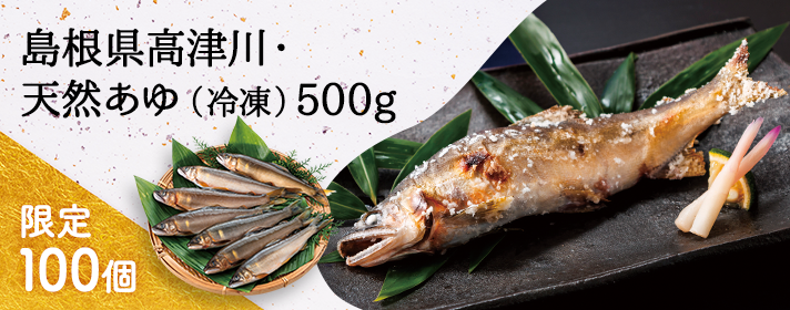 ���������Ð�E�V�R����i�Ⓚ�j500g�@����100��